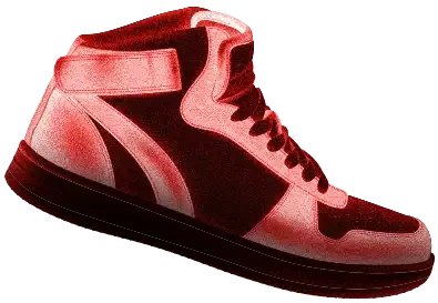 run shoe